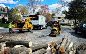 Lawn Pest Prevention in North Amityville, NY