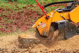 Best Firewood Processing and Delivery  in North Amityville, NY
