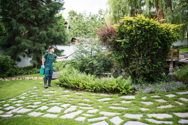 Best Leaf Removal  in North Amityville, NY